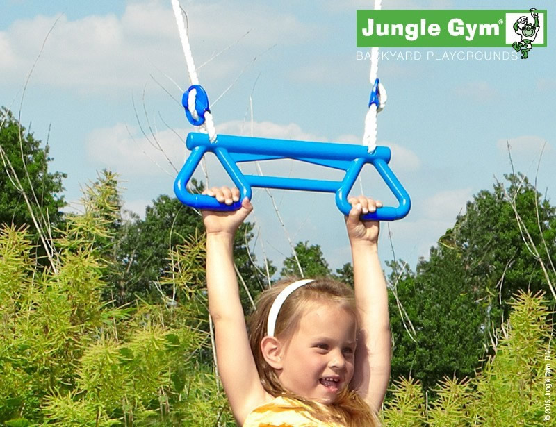 Monkey Bar Swing Jungle Gym Wooden Climbing Frames